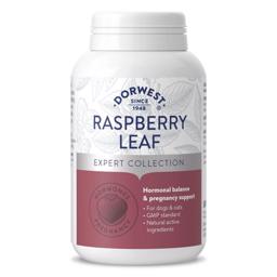 Dorwest Raspberry Leaf Tabletter Efter Hvalpe og Falsk Drægtighed 200